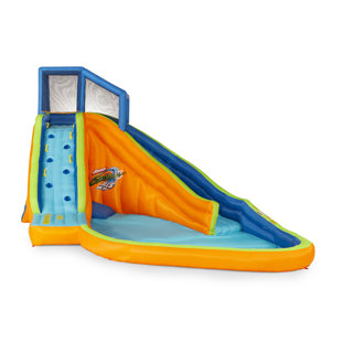 waterslide wayfair